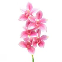 Artikel Cymbidium orkidé kunstig 5 blomster pink 65cm