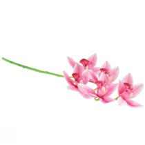 Artikel Cymbidium orkidé kunstig 5 blomster pink 65cm