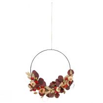 Artikel DIY Æske Ring Tørrede Blomsterkrans Jordbær Ø30cm - Boho Dekorativ Ring - Design Din Egen