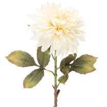 Artikel Kunstig dahliablomst til vase 68 cm