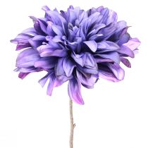 Artikel Kunstig dahlia med store blomster i lilla L58cm