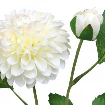 Artikel Dahlia kunstige blomster cremegrønne 2 blomster 60cm