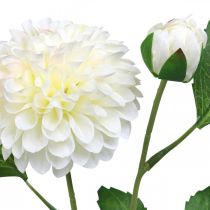 Artikel Dahlia kunstige kunstige blomster cremegrønne 2 blomster 60cm