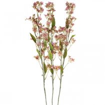 Artikel Dekorativ gren med blomster kunstig pink Daphne gren 110cm 3stk