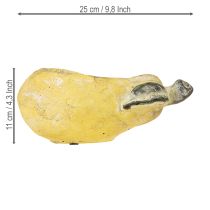 Artikel Dekorativ pæreplantekasse efterårsblomstpotte beton 25×13×11 cm
