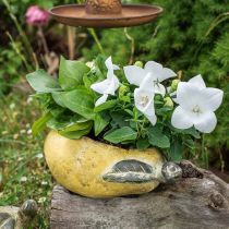 Artikel Dekorativ pære, keramik til dekoration, efterår, plantepotte L25cm H11cm