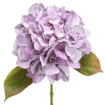 Artikel Dekoration Hortensia Kunstige Blomster Lilla Blomst Ø18cm 69cm 2stk