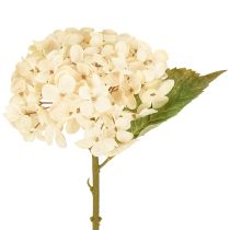 Artikel Dekorative hortensiaer kunstige cremefarvede silkeblomster 34 cm 2 stk.