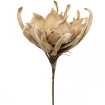 Deco lotusblomst kunstig lotusblomst kunstig blomst beige L68cm