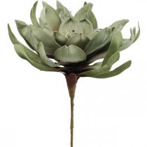 Deco lotusblomst kunstig lotusblomst kunstig blomst grøn L70cm
