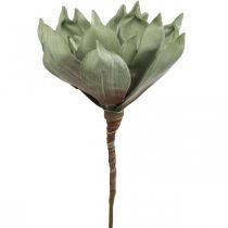 Deco lotusblomst, lotusblomst, silkeblomst grøn L64cm