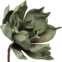 Deco lotusblomst, lotusblomst, silkeblomst grøn L64cm
