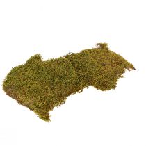 Artikel Dekorativt mos til fremstilling af lysegrønt naturligt mos konserveret 150g