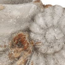 Artikel Dekorativ urtepotte med skalstenslook 22,5x13,5x13,5cm