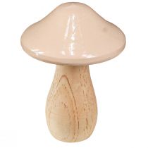 Artikel Dekorative træsvampe brun beige orange Ø7,5cm H10cm 3 stk