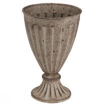 Artikel Dekorativ trofæ plante i antik look gråbrun Ø13cm H19cm