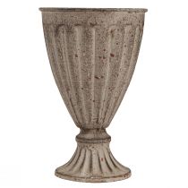Artikel Dekorativ trofæ plante i antik look gråbrun Ø13cm H19cm
