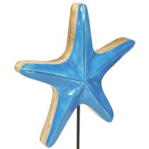 Artikel Dekorative søstjerner på basistræ naturblå Ø22cm H32cm