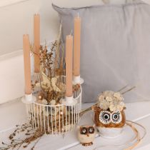 Artikel Dekorative stjerner, hampbast, 7,5 cm, juletræspynt, 8 stk.