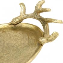 Deco bakke guld hjortegevir vintage bakke oval L35×B17cm