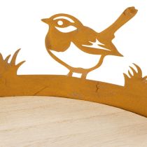 Artikel Dekorativ bakke, borddekoration med fugle, forårsdekoration, rustent metal, Ø20 cm H8,5 cm
