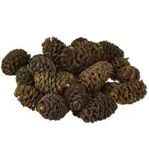 Artikel Dekorative kogler af elletræ, naturlige til dekoration, 3-4 cm, 200 g