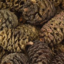 Artikel Dekorative kogler af elletræ, naturlige til dekoration, 3-4 cm, 200 g