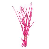 Deco grene Mitsumata 45-60cm pink 12p