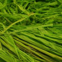 Artikel Dekorativ raffia til fremstilling af naturlig raffia raffia æblegrøn 200g