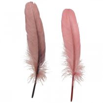 Dekorative fjer til kunsthåndværk Dusky pink ægte fuglefjer 20g