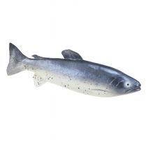 Artikel Dekorativ fiskefoder dummy fisk kunstig 31cm