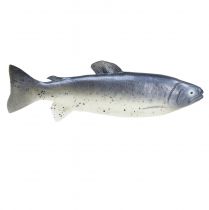 Artikel Dekorativ fiskefoder dummy fisk kunstig 31cm