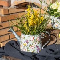 Dekorativ vandkande landsted metal til plantning H16cm
