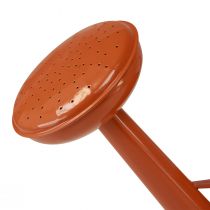 Artikel Metal dekorativ vandkande i landlig stil, orangebrun, 26 cm, 5 l - Alsidig brug som plantekasse og dekorativ vandkande
