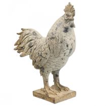 Dekorativ hane til haven dekorativt figursten look H26cm