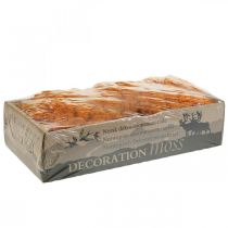 Artikel Dekorativ Mos Orange Ægte Mos til Håndværk Tørret, Farvet 500g