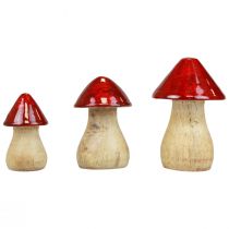 Dekorative svampe træsvampe rødglans efterårsdekoration H6/8/10cm sæt med 3 stk.