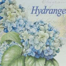 Artikel Dekorativ bakke hortensia plastbakke hvid 39×27,5cm