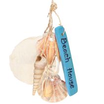 Artikel Dekorativ bøjle Beach House Blue Capiz tårnsnegl H25cm