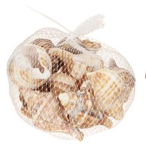Artikel Skaller Dekorativ cremebrun stribet 3cm–8cm 300g