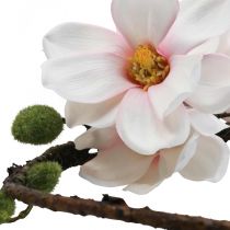 Dekorativ ring kunstig magnolia fjederdekoration til ophæng Ø24cm