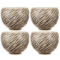 Artikel Dekorationsskål Keramik Spiral Dekor Beige Brun Ø9cm 4stk