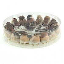 Artikel Pyntefugle 9cm på tråd 16 stk