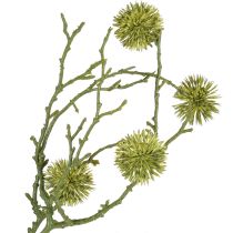 Artikel Dekorativ gren af sødt gumtræ, frugter, lysegrøn, 48 cm