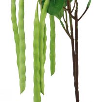 Artikel Dekorativ gren bønnegren kunstig plante grøn 68cm