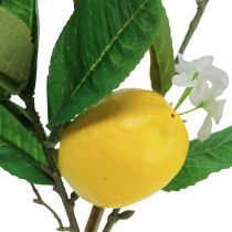 Dekorativ citrongren med blomster og frugter H68cm