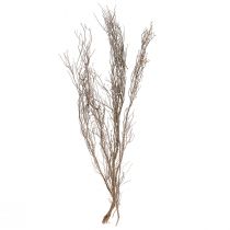 Artikel Dekorative grene naturlige dekorative timian grene tørret 500g