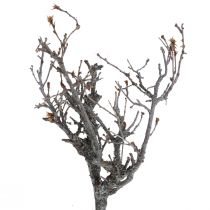 Deco grene bonsai træ deco grene 15-30cm 650g