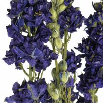 Tørret delphinium, tør blomster, delphinium blå L64cm 25g