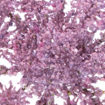 Artikel Kunstig silkeblomst med dild til moderne indretning 70 cm